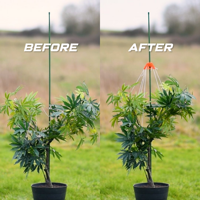 STRINGY-THINGY - Plant Supports