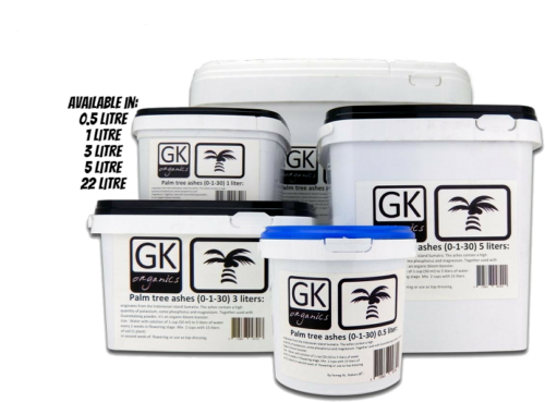 Guanokalong Palm Tree Ashes