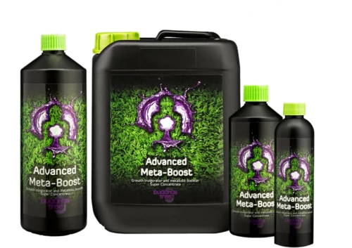 Buddha's Tree - Meta Boost