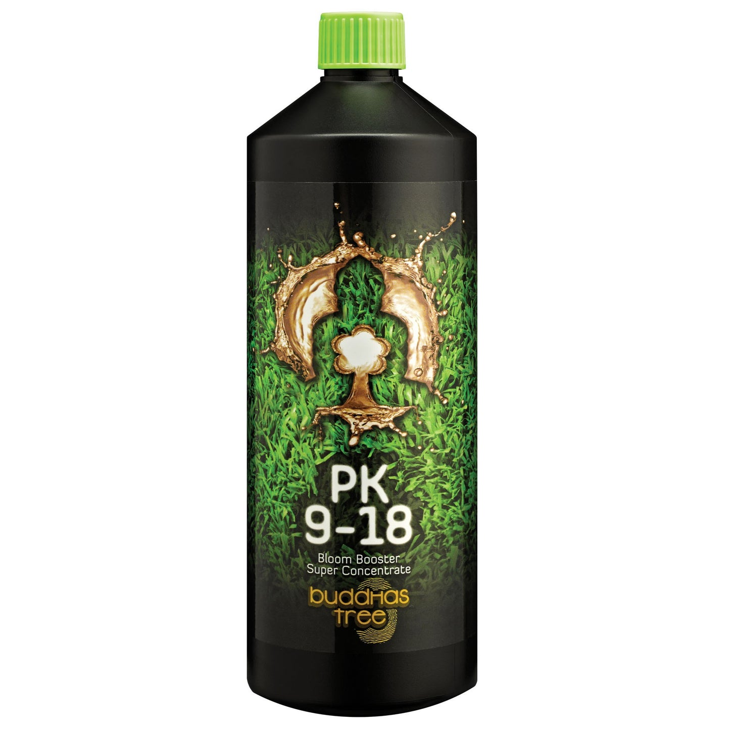 Buddha's Tree - PK 9-18