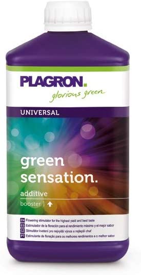 Plagron Green Sensation