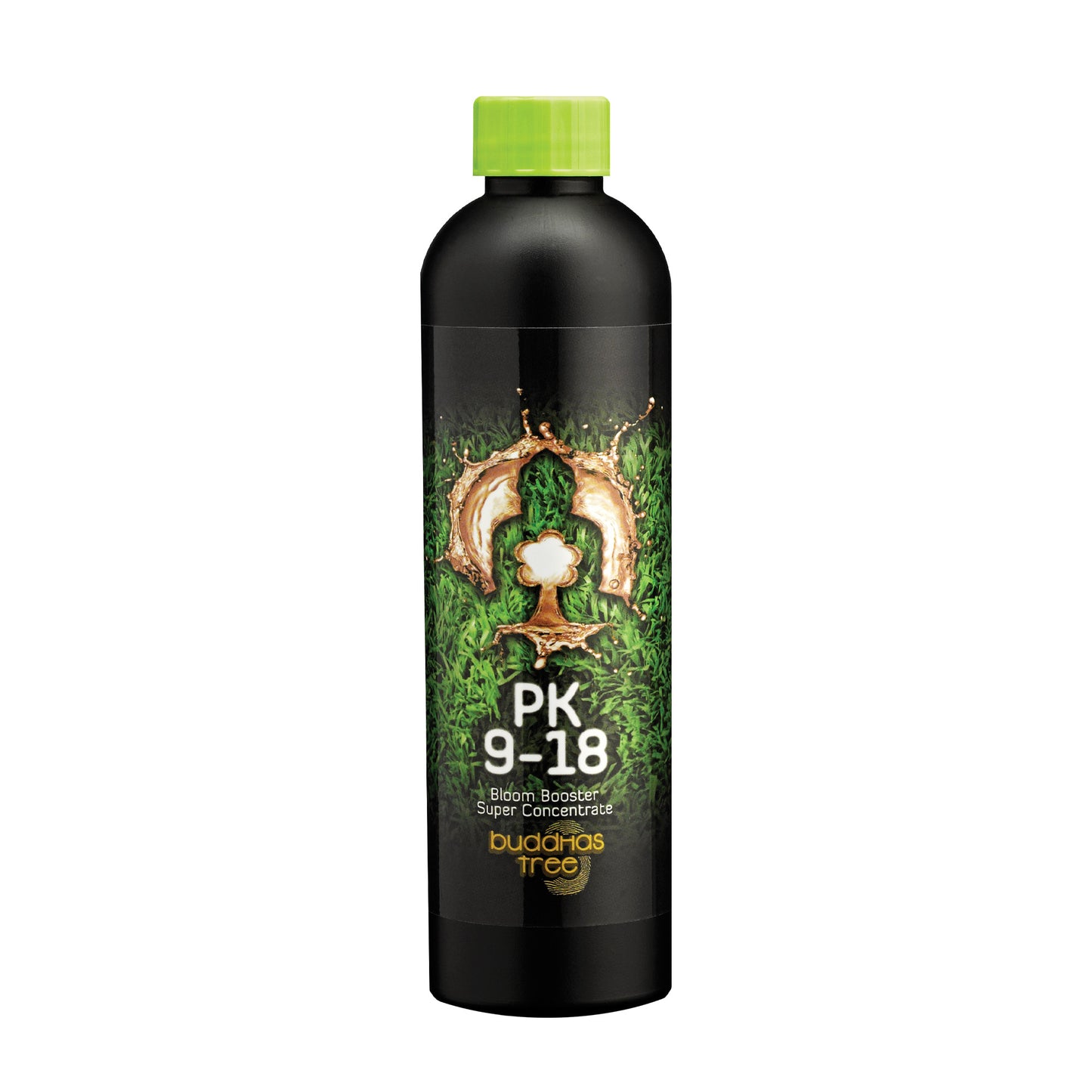 Buddha's Tree - PK 9-18
