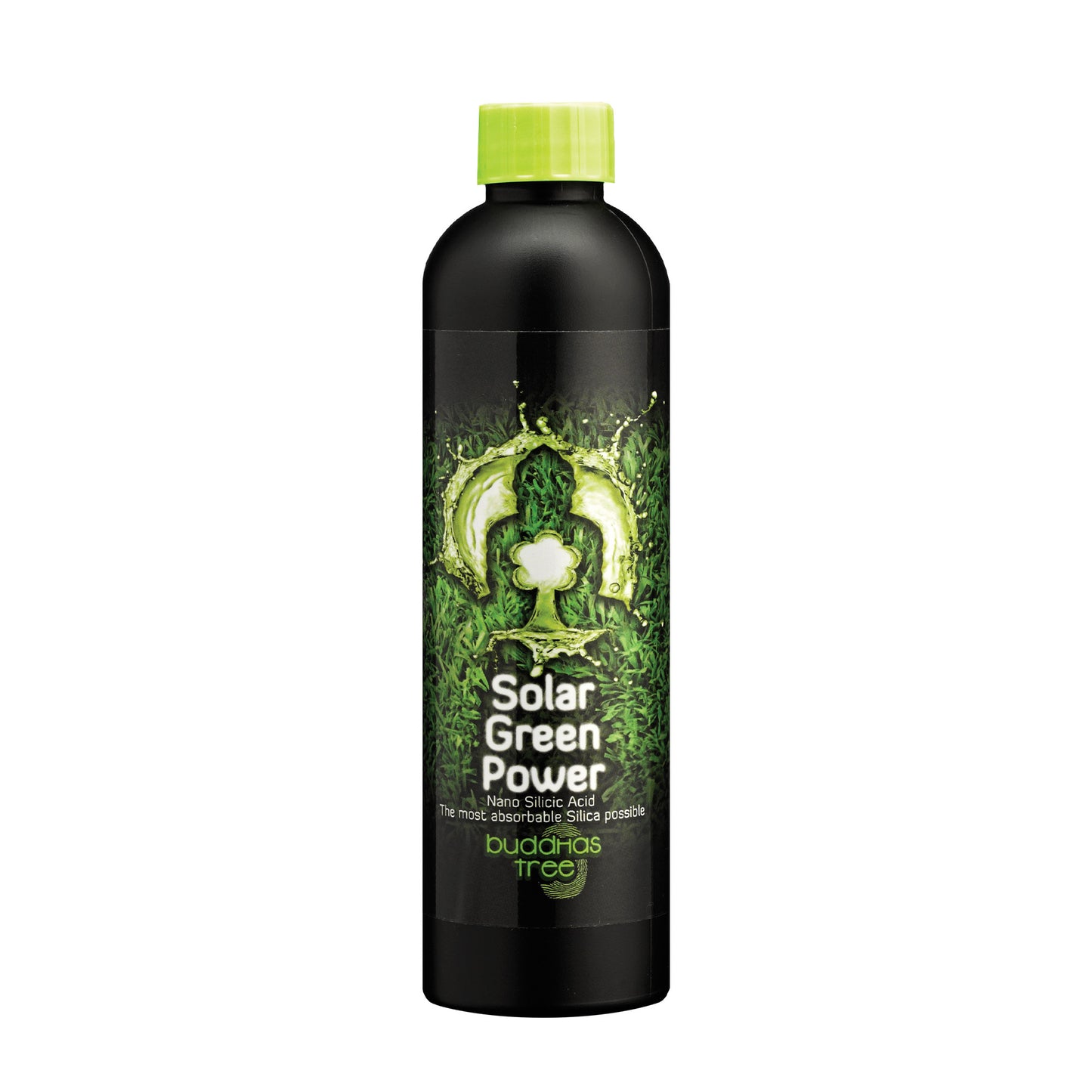 Buddha's Tree - Solar Green Power