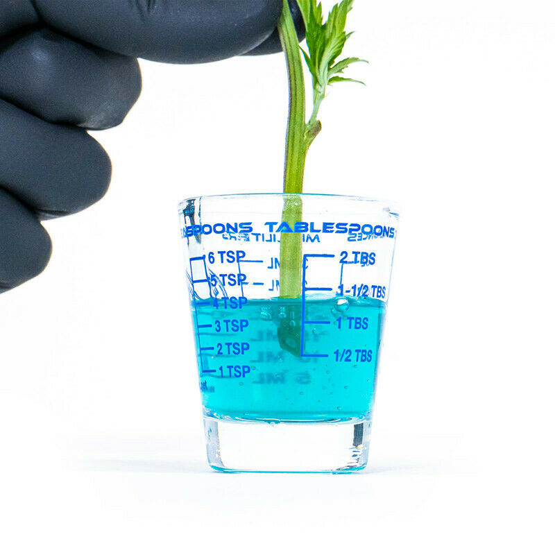 Athena - Cuts Plant Cloning Gel