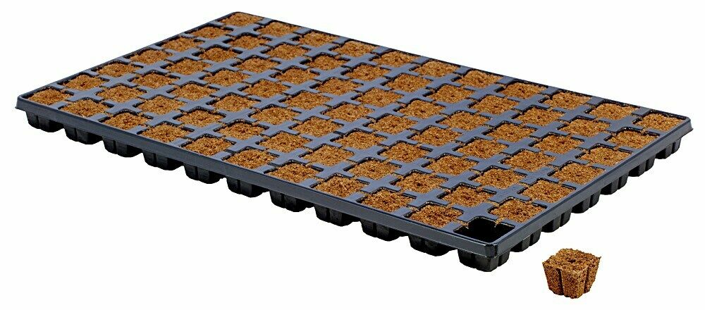 EAZY Plug Tray 77 or 150 Plugs
