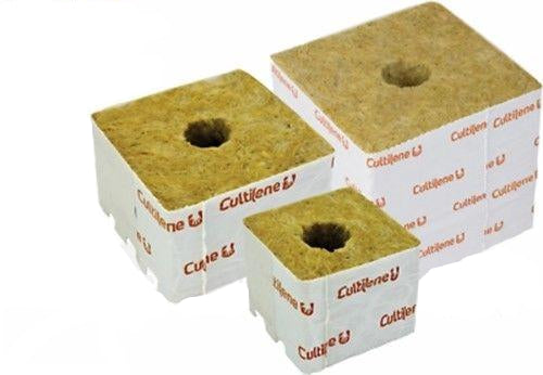 Cultilene Rockwool Cubes