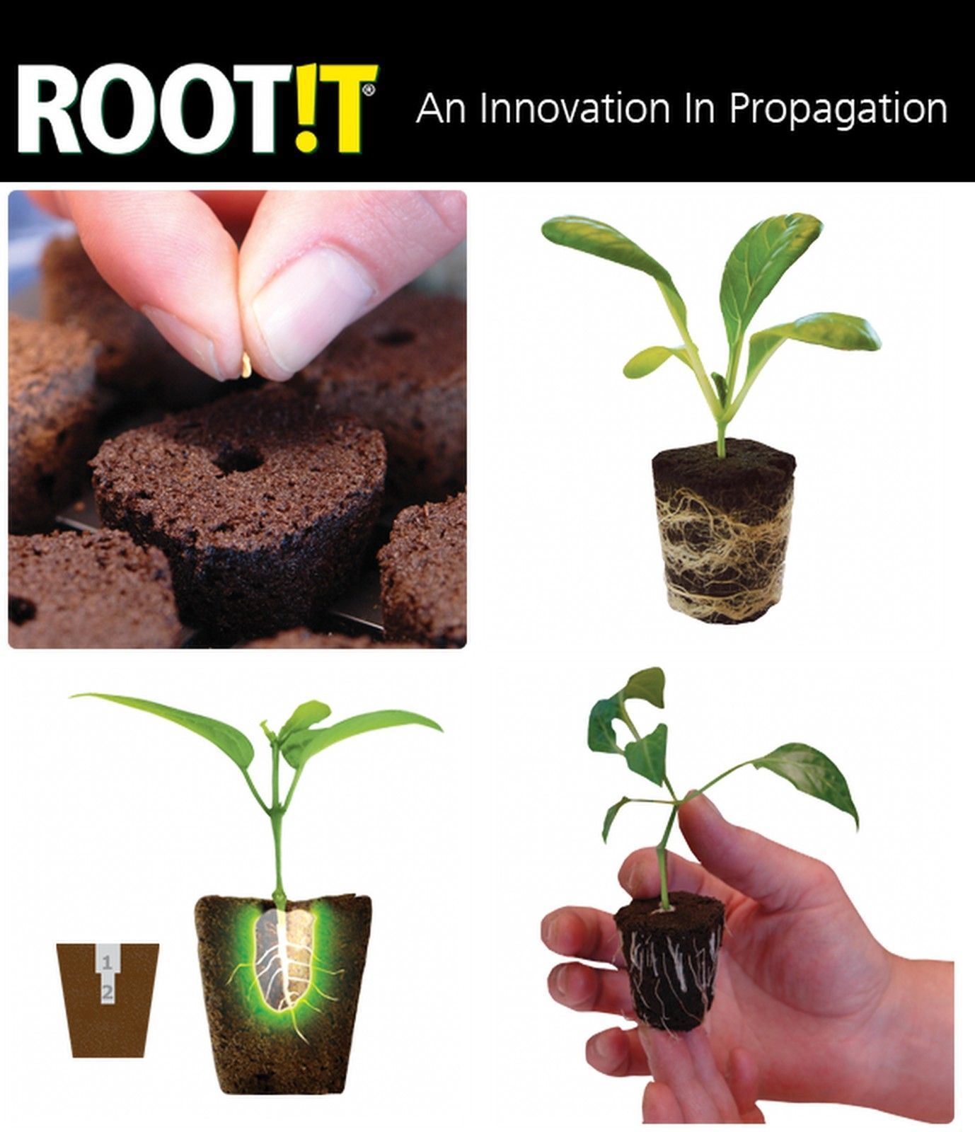 Root it 24 Propagation Insert & Trays
