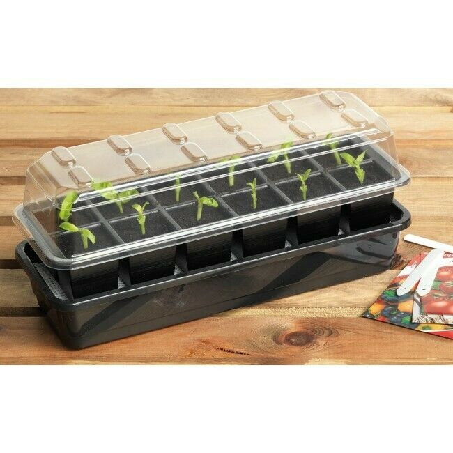 Self Watering Seed Cuttings Plant Tray Propagator Greenhouse Hydroponics