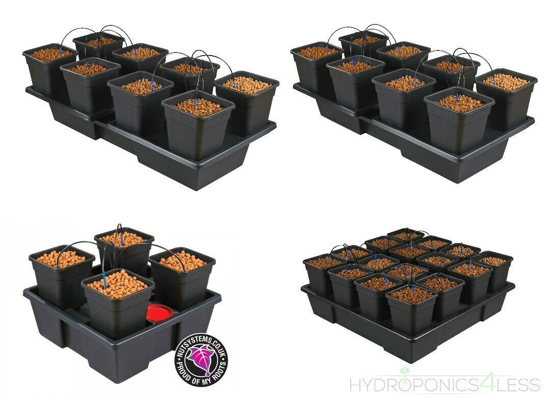 Wilma Kit hydroponics