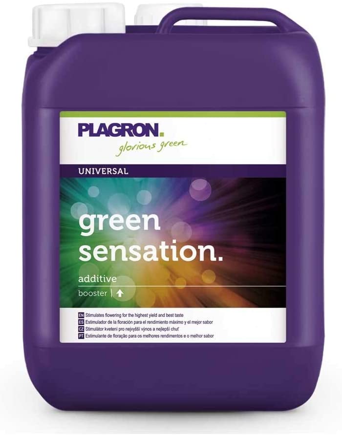Plagron Green Sensation