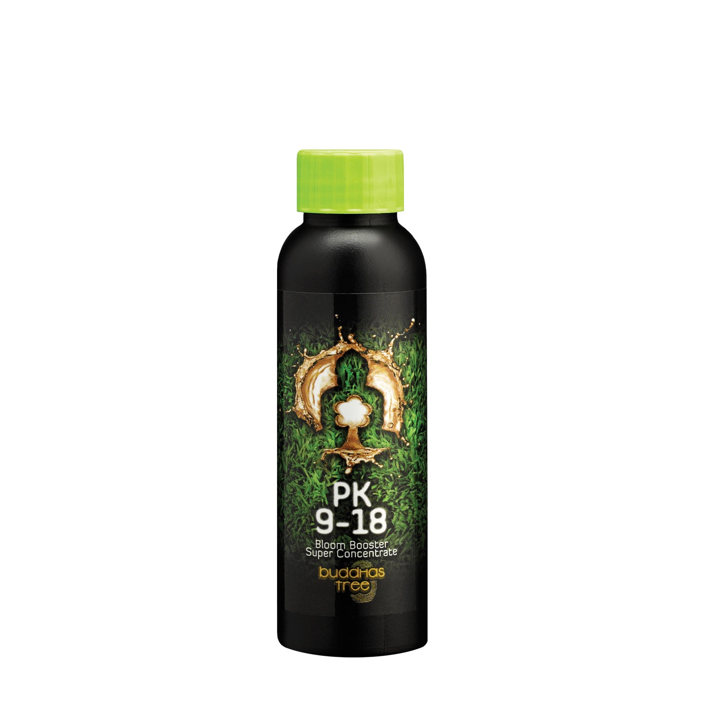 Buddha's Tree - PK 9-18