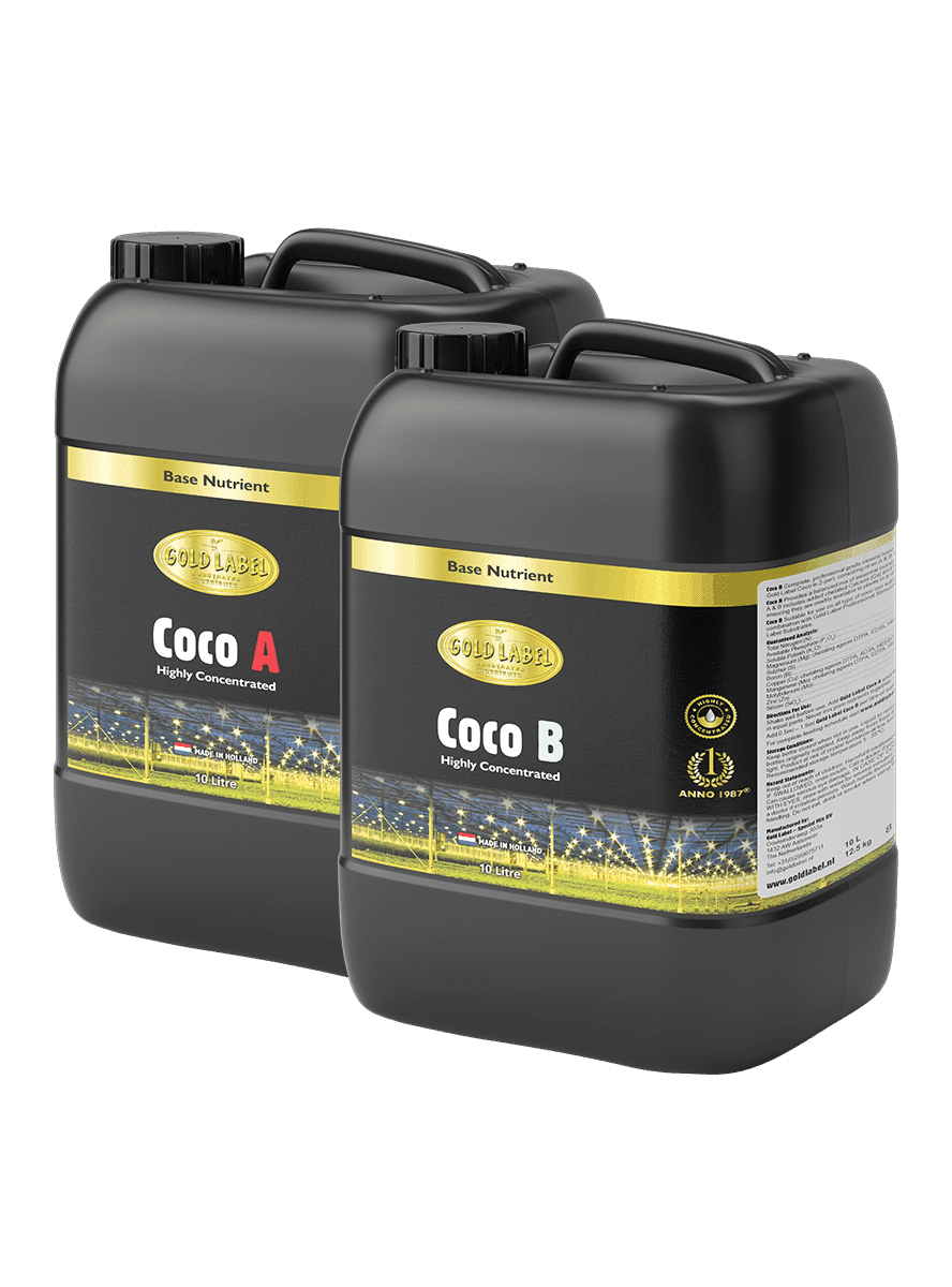 Gold Label Coco A&B
