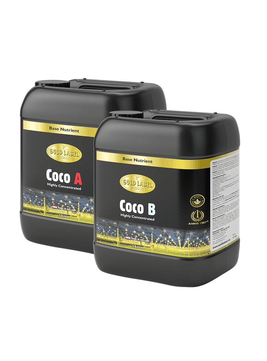Gold Label Coco A&B