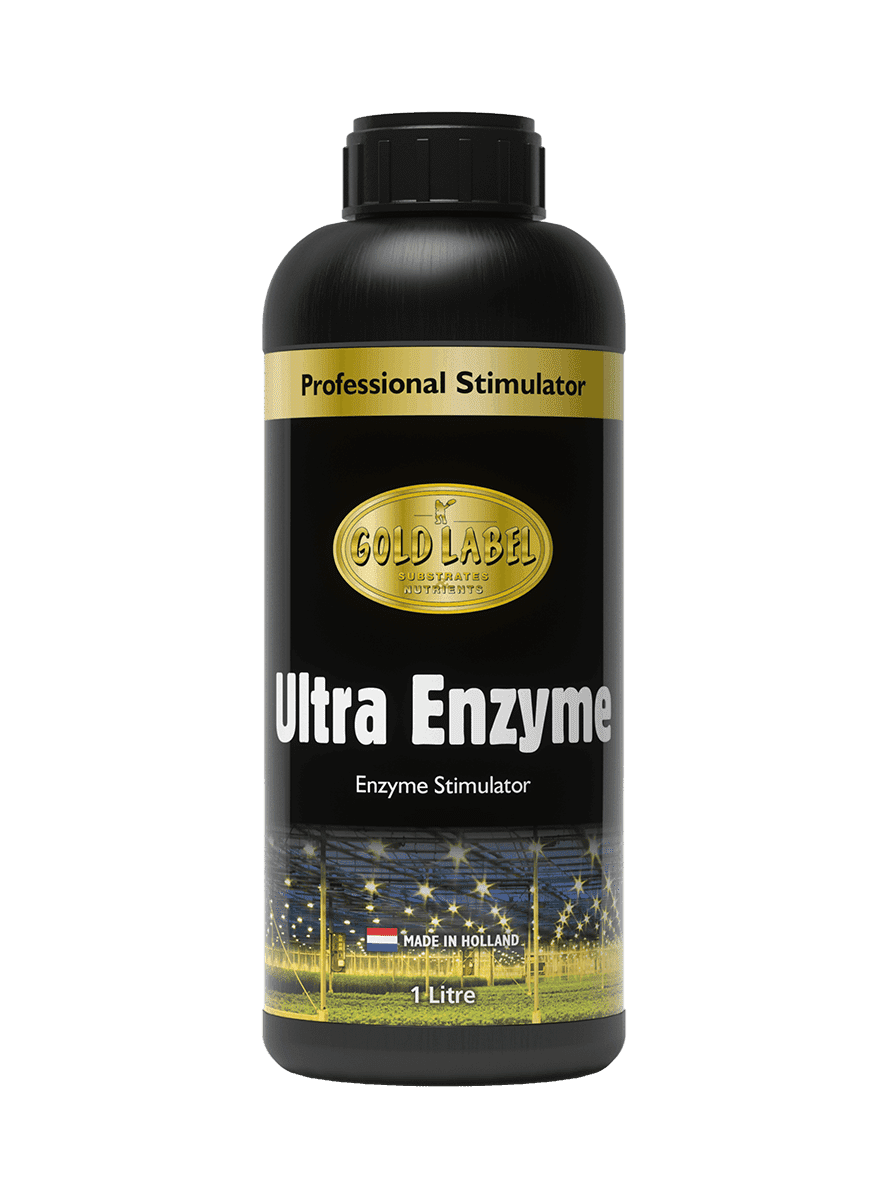 Gold Label Ultra Enzyme