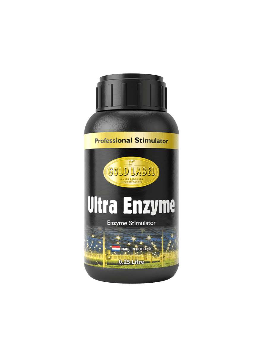 Gold Label Ultra Enzyme