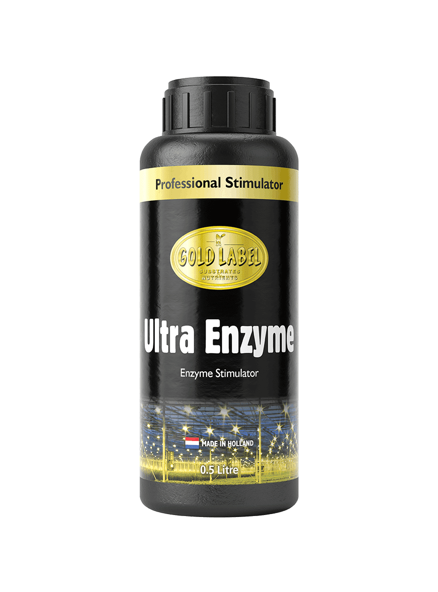Gold Label Ultra Enzyme