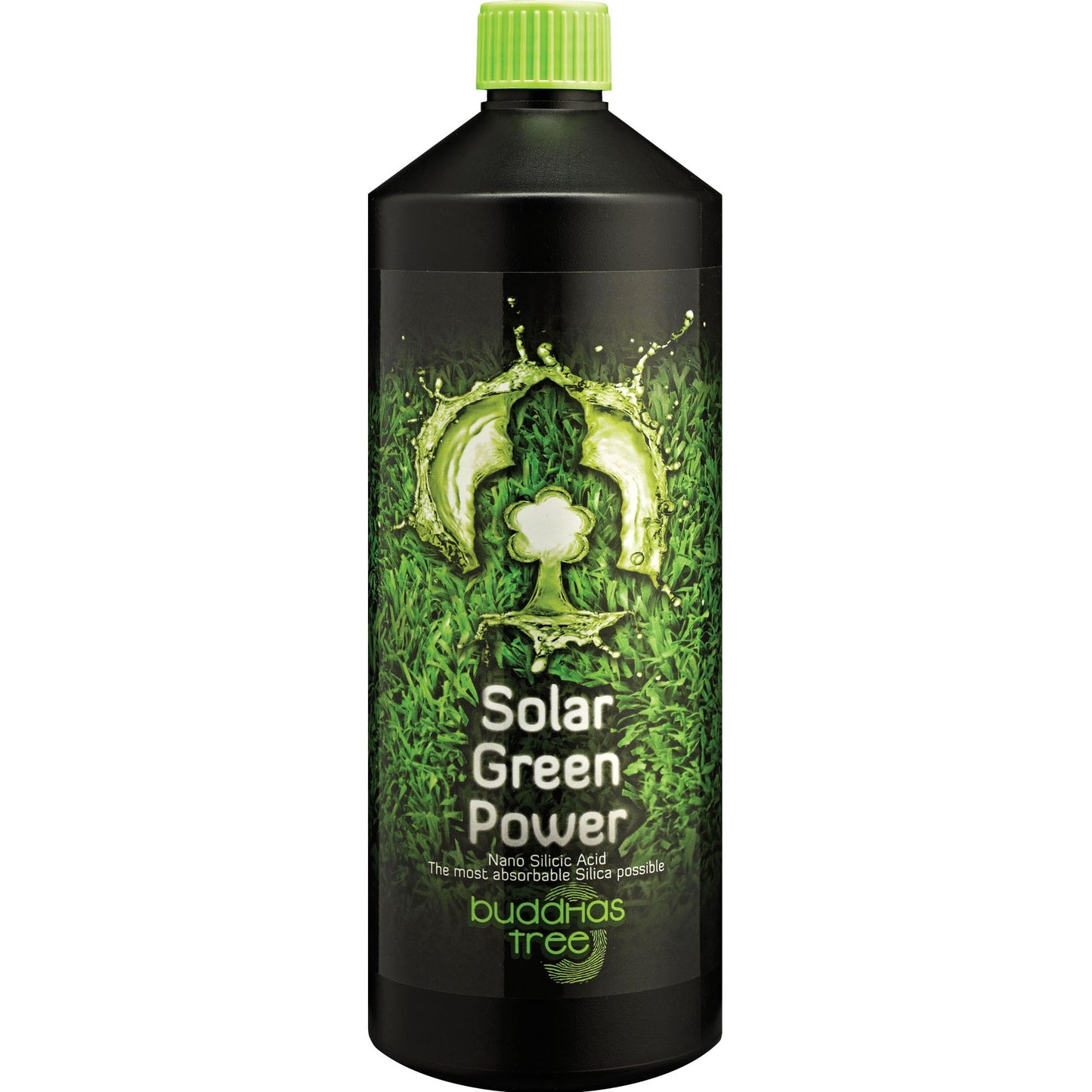 Buddha's Tree - Solar Green Power