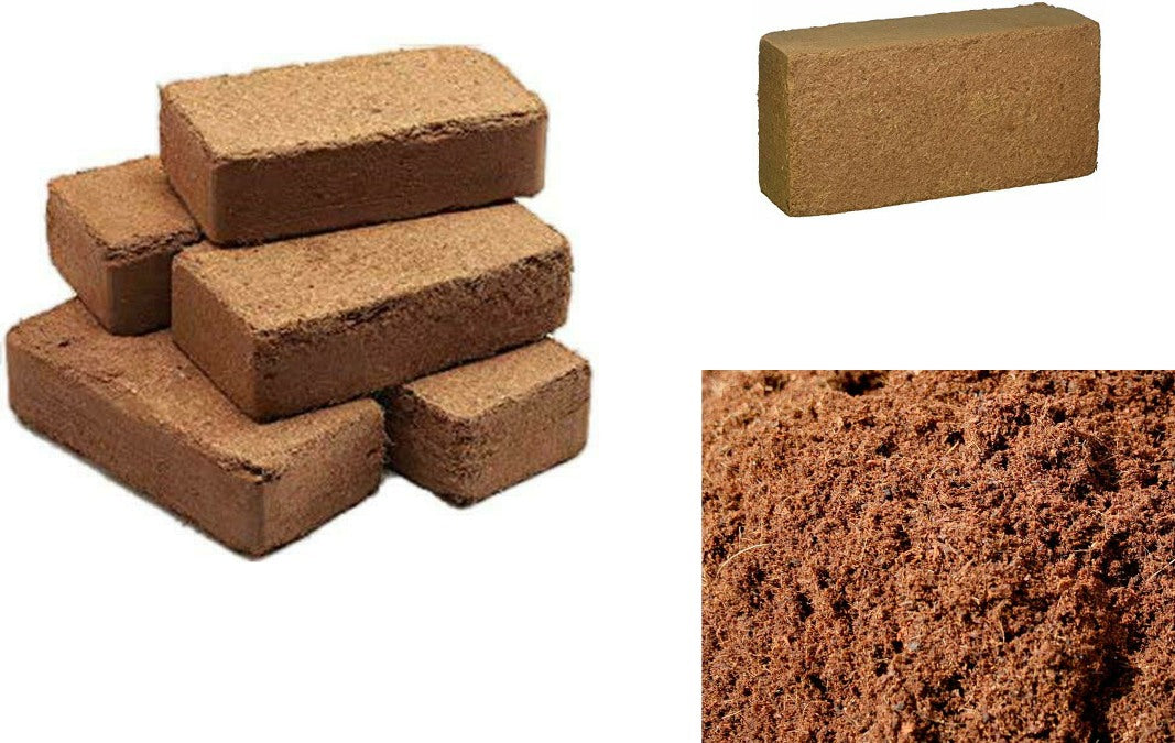 Expanding CoCo Bricks
