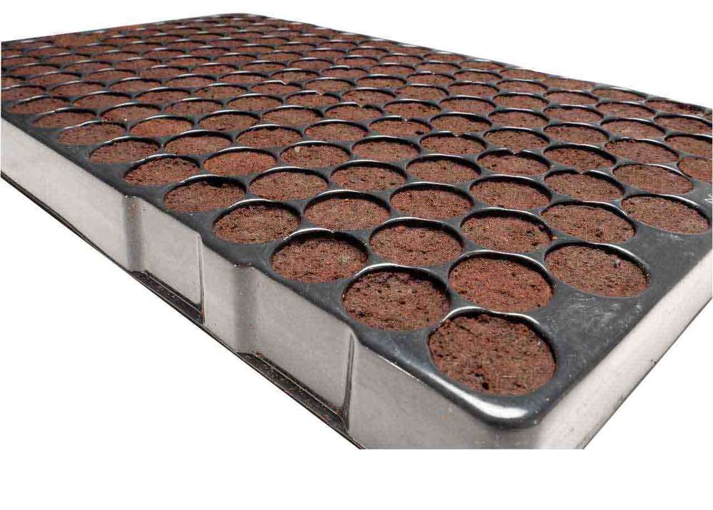 KLON-MAX Prefilled Propergation Tray