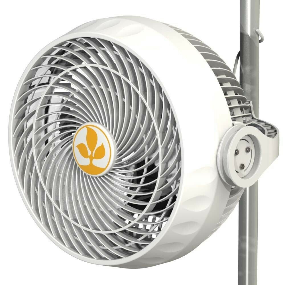 Secret Jardin Monkey Fan