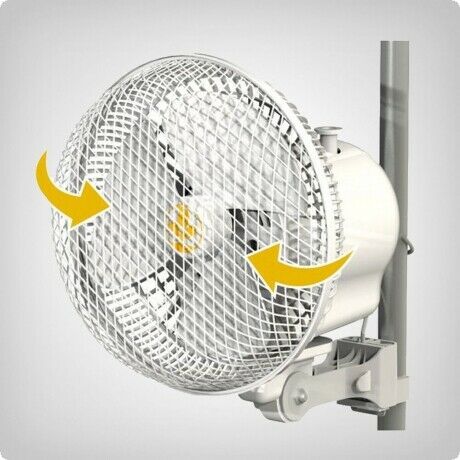 Secret Jardin Monkey Fan