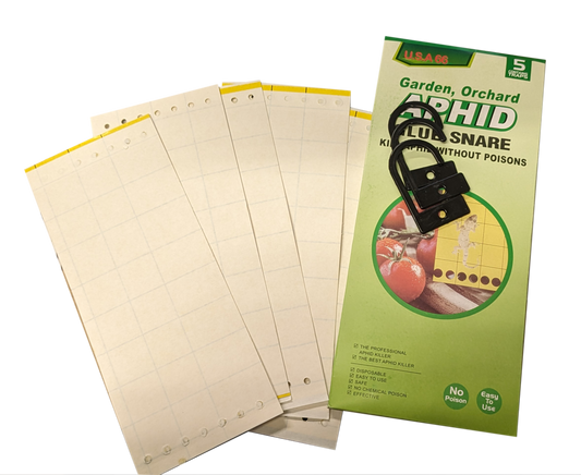 Sticky Insect Catcher Pack of 5