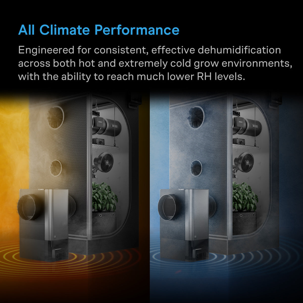 AC Infinity Hydrone Smart Dehumidifier