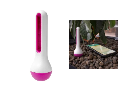 Air Comfort Purple Temperature & Humidity Sensor