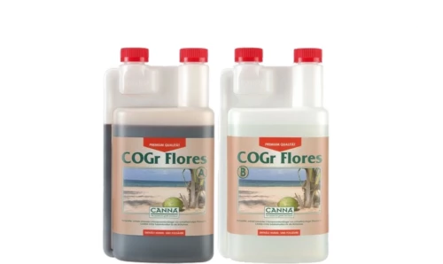 CANNA COGr Flores A&B Part A and Part B