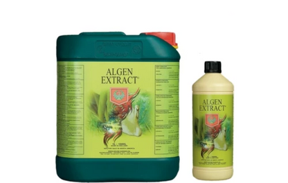 House & Garden Algen Extract – 5 litre can and 1 litre bottle