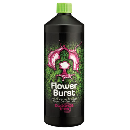 Buddha's Tree - Flower Burst