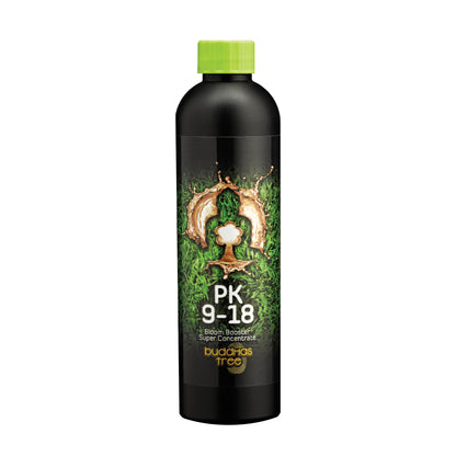 Buddha's Tree - PK 9-18