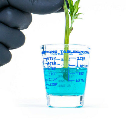 Athena - Cuts Plant Cloning Gel