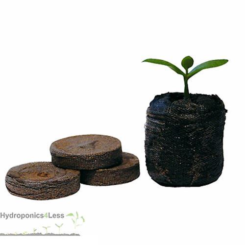 Root it 60 Propagation Insert