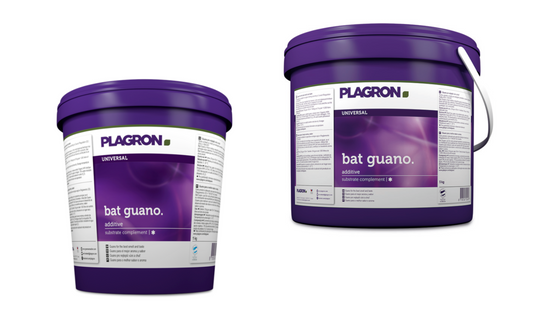 Bat Guano