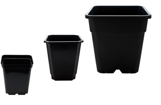Square Black Pots 0.7, 1.5, 2, 3, 5.7, 11, 12, 18, 25 L