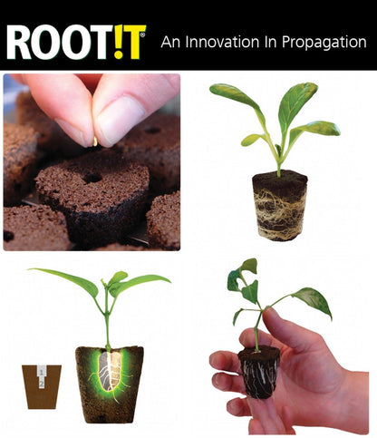 Root it 24 Propagation Insert & Trays