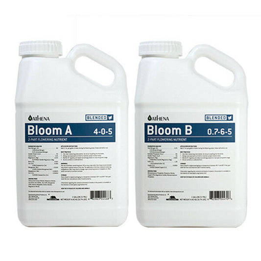 Athena - Bloom A&B
