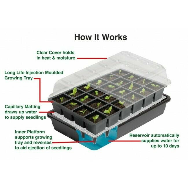 Self Watering Seed Cuttings Plant Tray Propagator Greenhouse Hydroponics
