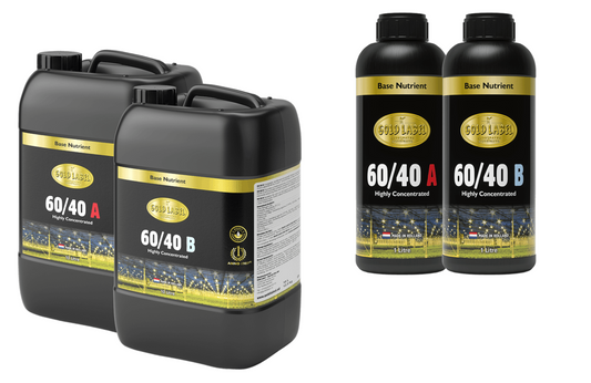 Gold Label 60/40 A&B
