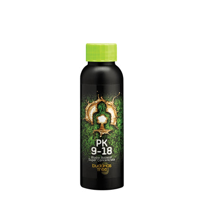 Buddha's Tree - PK 9-18