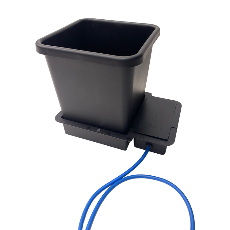Autopot 15L Auto System Module