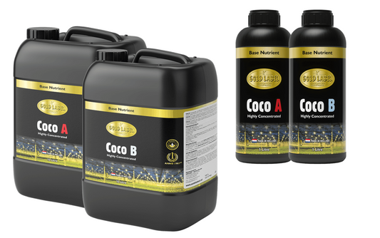 Gold Label Coco A&B