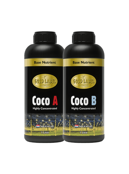 Gold Label Coco A&B