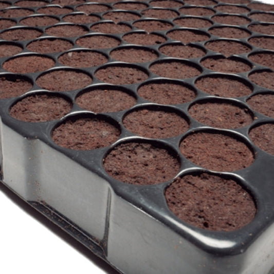 KLON-MAX Prefilled Propergation Tray