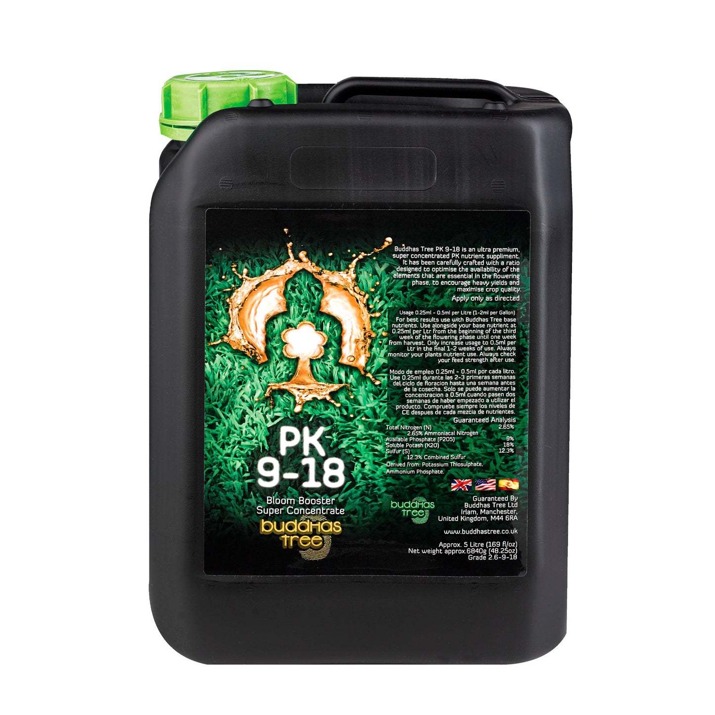 Buddha's Tree - PK 9-18