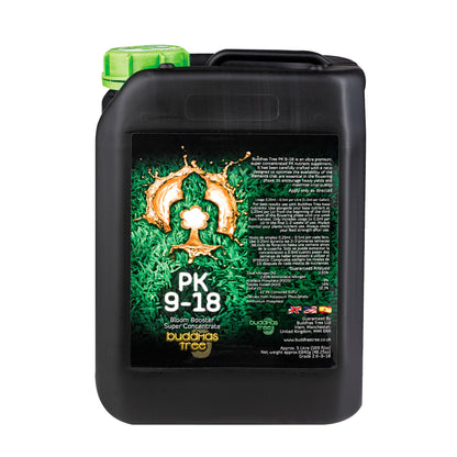 Buddha's Tree - PK 9-18