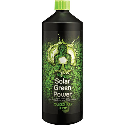 Buddha's Tree - Solar Green Power
