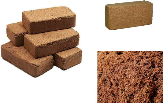 Expanding CoCo Bricks 