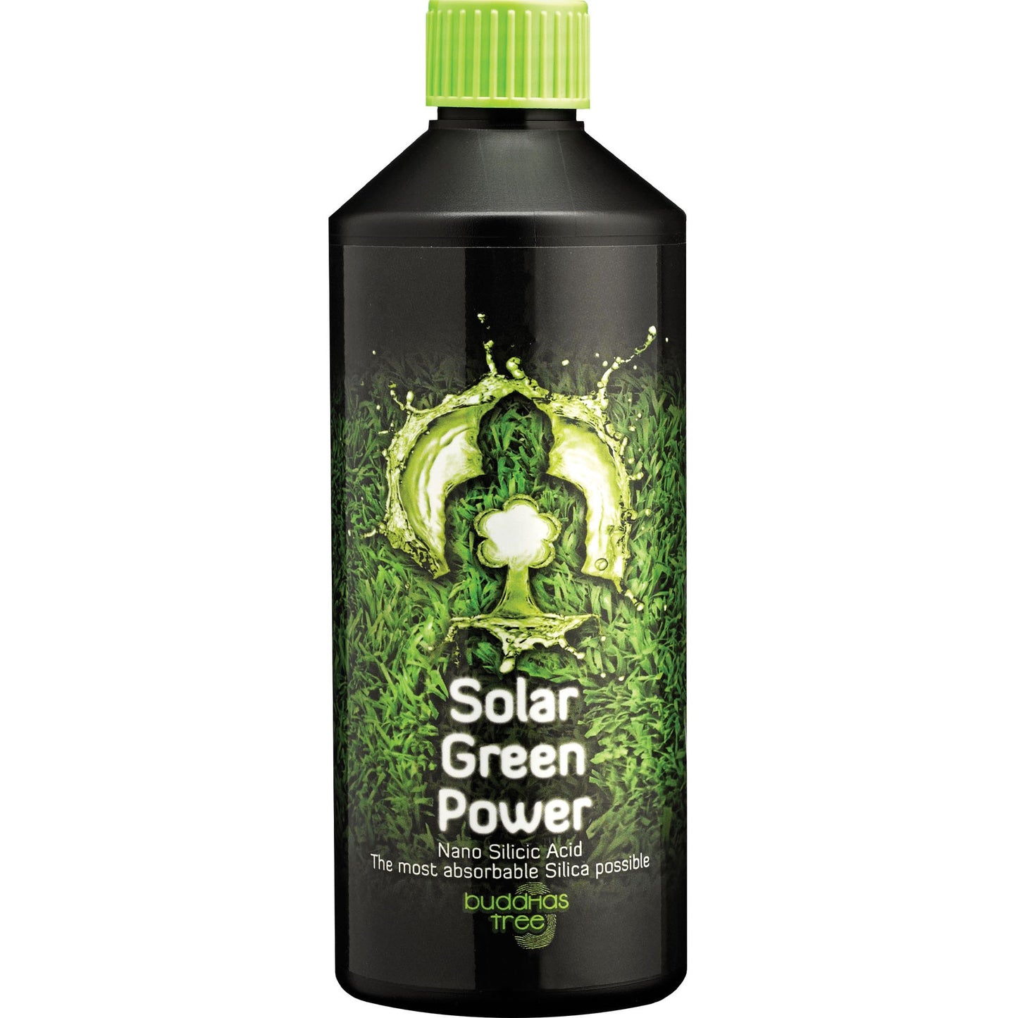 Buddha's Tree - Solar Green Power